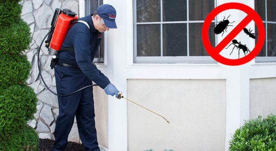 Sahilevleri Dezenfeksiyon böcek ilaçlama ve haşere kontrolü — ilaclama-tr.com